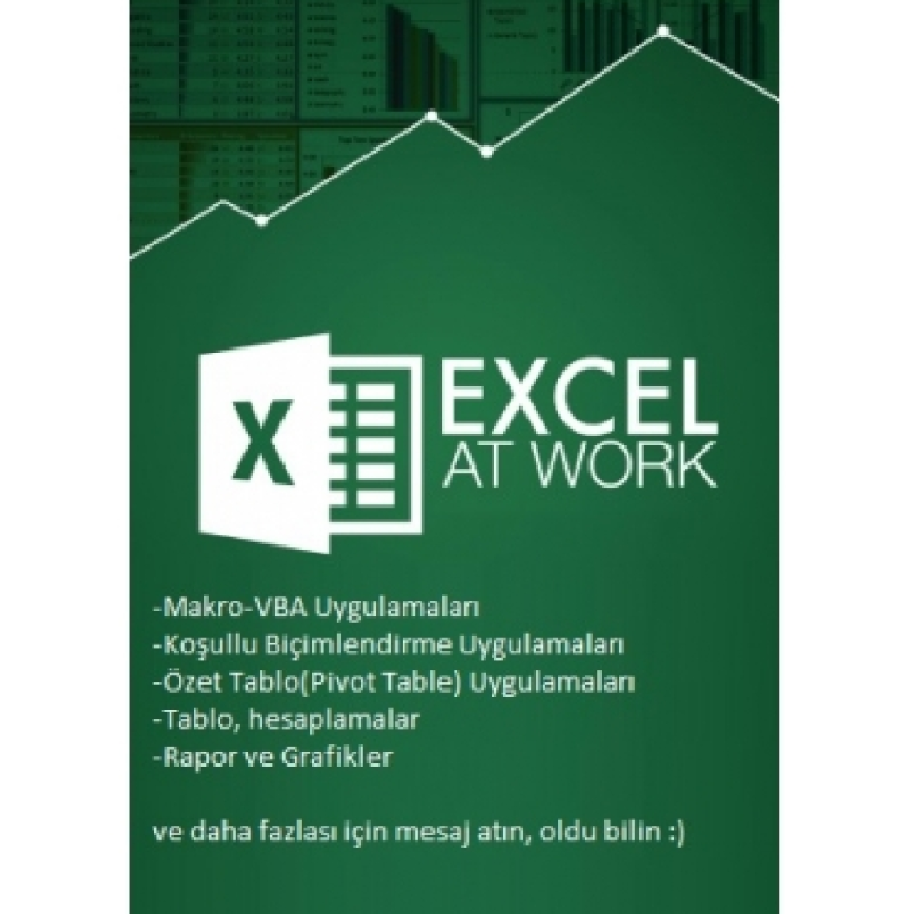 1620excel ile ilgili istediğiniz çalışmayı yapabilirim