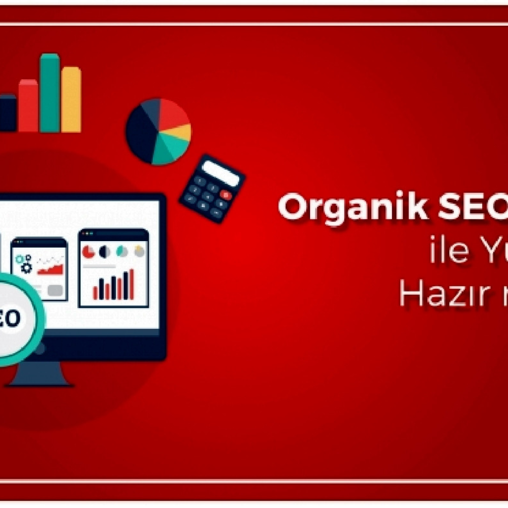 1777sitenize profesyonel seo paketini yapabilirim