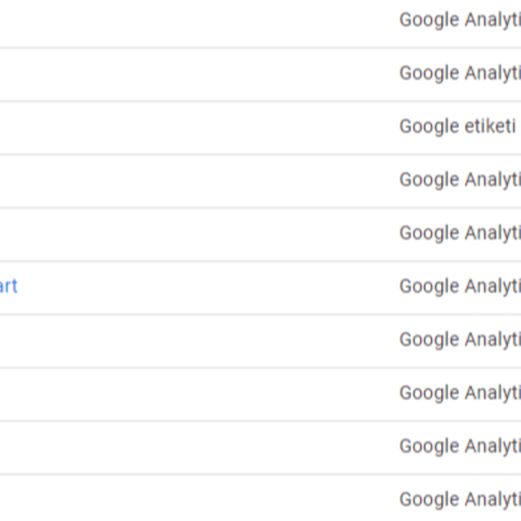 1867Google Tag Manager kurulumlarınızı yaparım